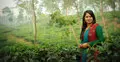 অভিনয়ের ব্যস্ততায় রেশমী