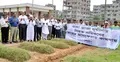 রানা প্লাজা ধস : নিহতদের কবর জিয়ারত করলো বিজিএমইএ