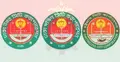 ৫ কারণে সিটি নির্বাচনে অংশ নিতে পারে বিএনপি