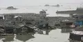 পানিতে ভাসমান গ্রাম