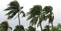 কালবৈশাখীতে রাজধানীসহ পাঁচ জেলায় নিহত ১৪