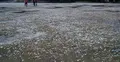 রাজধানীতে শিলাবৃষ্টি