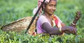 ৩০ এপ্রিল : একনজরে সারাদিনের খবর