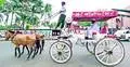 চট্টগ্রামে টমটমের ধাক্কায় শিশু নিহত 