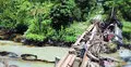 ফার্নেস অয়েলে হুমকির মুখে কর্ণফুলী-হালদার জীববৈচিত্র