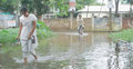 ঝালকাঠিতে ২০টি গ্রাম প্লাবিত : দুর্ভোগে নিম্নাঞ্চলের মানুষ