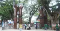 পেট্রাপোল সীমান্তে স্বর্ণের বারসহ ২ ভারতীয় আটক
