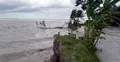 বরিশালে বিভিন্ন নদীর ২৬ পয়েন্টে ভাঙন 