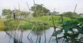 ব্রিজ না থাকায় সাঁকো দিয়েই ঝুঁকিপূূর্ণ যাতায়াত 