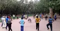 বৃক্ষমায়া : যেখানে ভালবাসা মেলে অকাতরে