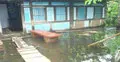 গৌরনদীতে বৃষ্টি হলেই জলাবদ্ধতা