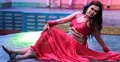 জন্মদিনের আইটেম গার্ল বিপাশার উপহার