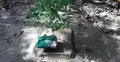 চিতার ওপর কোরআন ও গীতা রাখায় যুবক আটক