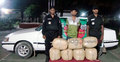 আশুগঞ্জে ৩৪ কেজি গাঁজাসহ আটক ১
