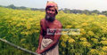 নড়াইলে জিরার চাষ দেখতে মানুষের ভিড়