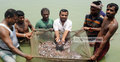 মৎস্যখাতে অগ্রগতিতে মাইলফলক যশোর