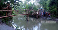 একটি ব্রিজের অভাবে দুর্ভোগে অসংখ্য মানুষ
