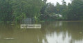 কুড়িগ্রামে বন্যায় শতাধিক চর প্লাবিত