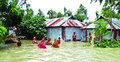 কুড়িগ্রামে বন্যায় ৬০ হাজার মানুষ পানিবন্দী 