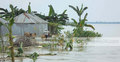 সিরাজগঞ্জের বন্যা পরিস্থিতি অপরিবর্তিত