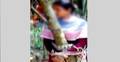 যৌতুকের দাবিতে নববধূকে গাছে বেঁধে নির্যাতন