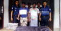 সাতক্ষীরায় ফেনসিডিলসহ আটক ২