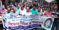 ঝিনাইদহে জেলা বিএনপির বিক্ষোভ মিছিল