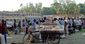 স্কুল মাঠে হাট : শিক্ষা কার্যক্রম ব্যাহত