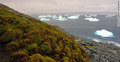 Antarctica is turning green