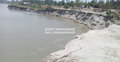 যমুনার ভাঙনে ৩শ ঘর-বাড়ি বিলীন