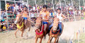 বর্ষবরণে ঐতিহ্যবাহী ঘোড়দৌড়
