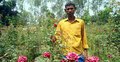 ফুল চাষে ভাগ্য বদল আব্দুস সালামের