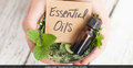 5 amazing oils to manage diabetes
