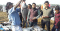 জামাইদের মাছের মেলা