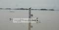 তিস্তার ব্যারেজ রক্ষা সড়ক ভেঙে নতুন এলাকা প্লাবিত