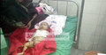 কক্সবাজারে ভুল চিকিৎসায় শিশুর মৃত্যু