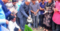 ঢাবিতে বৃক্ষরোপণ কর্মসূচির উদ্বোধন বুধবার