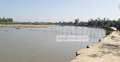 কাটাখালী নদীতে অবৈধভাবে বালু উত্তোলন