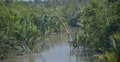 সুন্দরবনে তিন দিনে ৩৮ জেলে অপহৃত