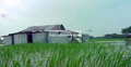 রাঙ্গাবালীর ৬ গ্রাম প্লাবিত