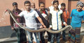ধানখেতে মিলল ৮ ফুট লম্বা অজগর
