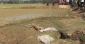 তরুণীর মরদেহ পুঁতে রেখে ধান রোপণ