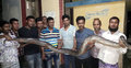 সিরাজগঞ্জে ১২ ফুট লম্বা অজগর উদ্ধার