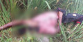 ধানখেত থেকে দিনমজুরের মরদেহ উদ্ধার
