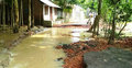 পরশুরামে বন্যায় ১৭ কি.মি সড়ক বিলীন