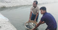 ধু ধু বালুচরে মাছ চাষ করে স্বাবলম্বী