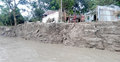 কুড়িগ্রামে তিস্তার ভাঙনে দুই শতাধিক পরিবার গৃহহীন