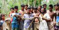 বাঁশের মাথায় সাত ফুট অজগর!