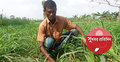 ঘাসেই মিললো কোটি টাকা!