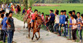 মাগুরায় ঘৌড়দৌড় প্রতিযোগিতা